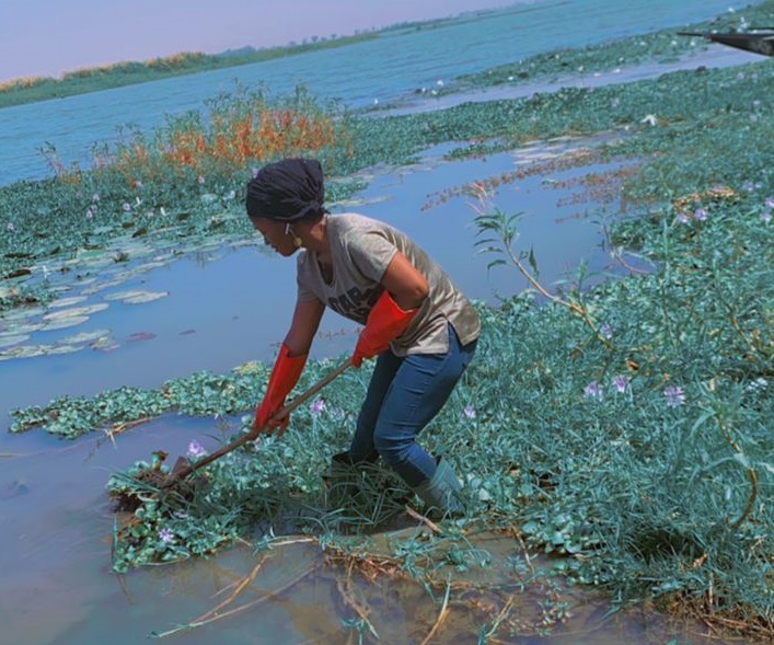 Jeune Agro-Innovateurs du Mali (JAIM)