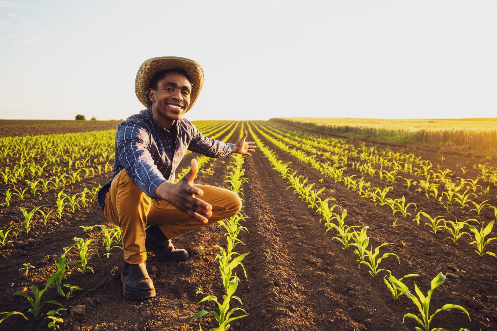 AgriBiz Programme