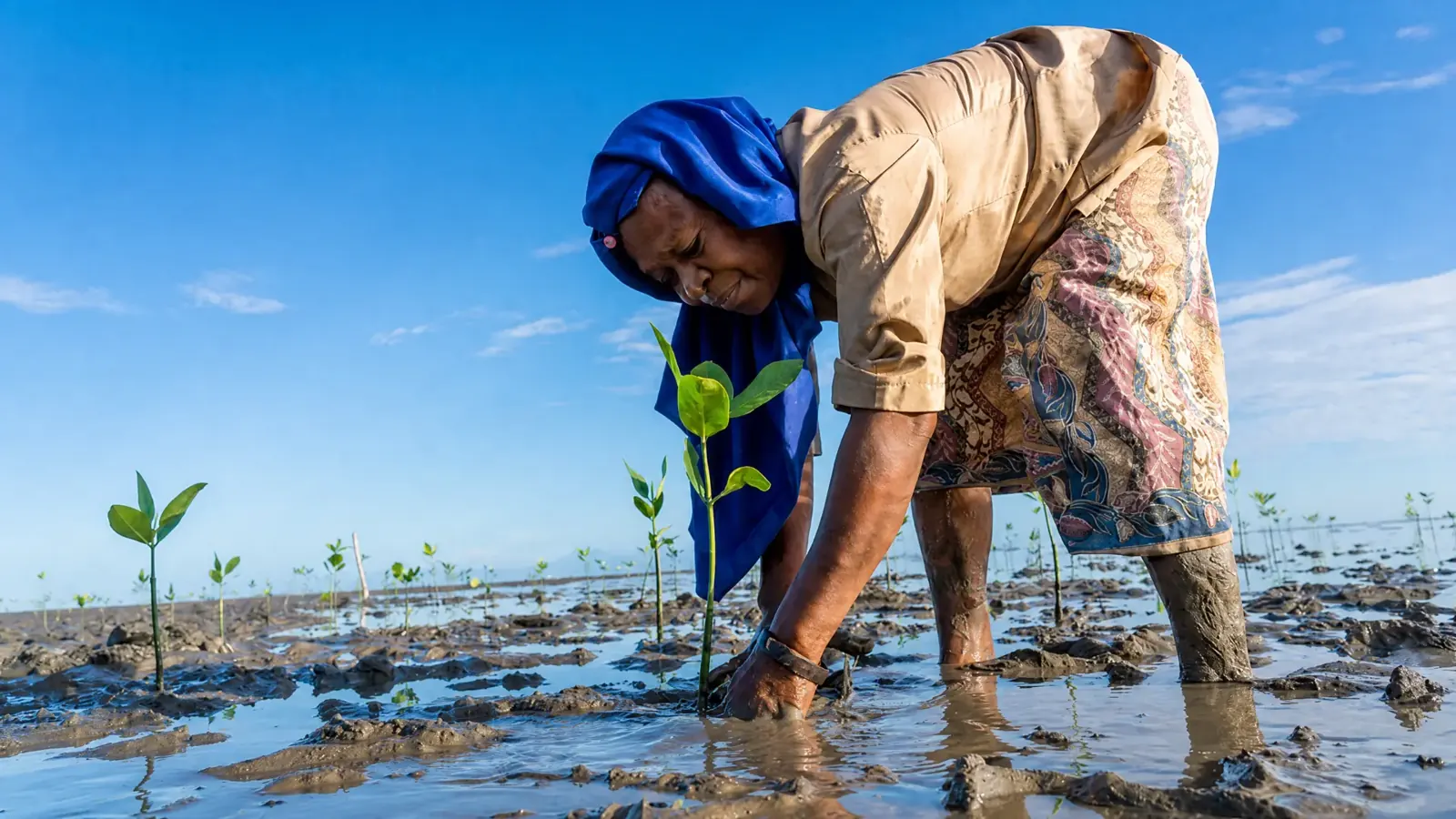 Climate Adaptation Knowledge Brief for Africa