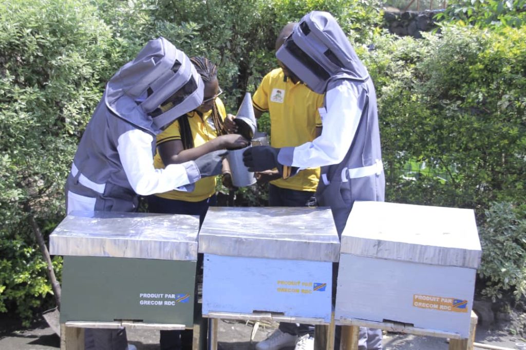 Case Study — ETS Grecom (DRC)