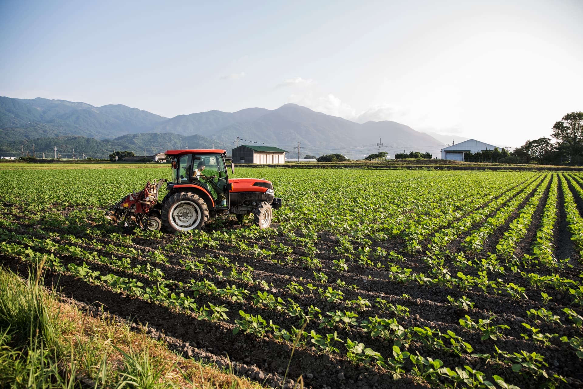 Transaction Advisory — Land Commercialization Initiative