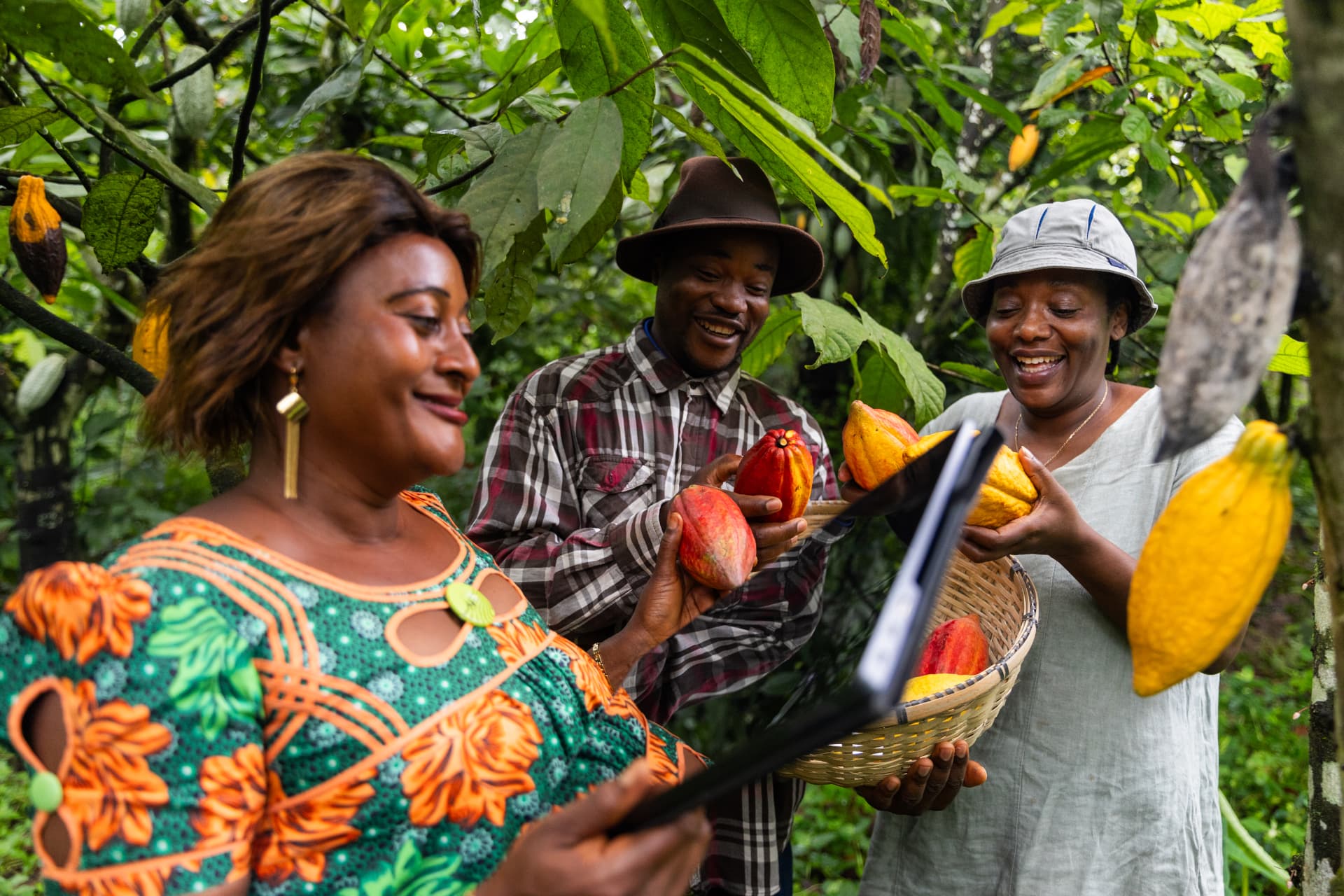 Adaptation & Resilience ClimAccelerator Africa